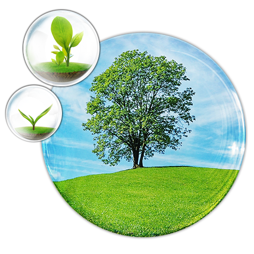 Ochrona Środowiska, zielone drzewo w bańce mydlanej, po lewej stronie u góry mniejsze bańki mydlane z zielonymi małymi roślinkami