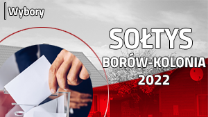 Wybory Sołtysa w miejscowości Borów-Kolonia