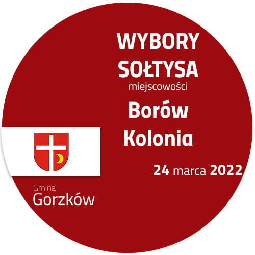 Wybory Sołtysa w Borowie-Kolonii