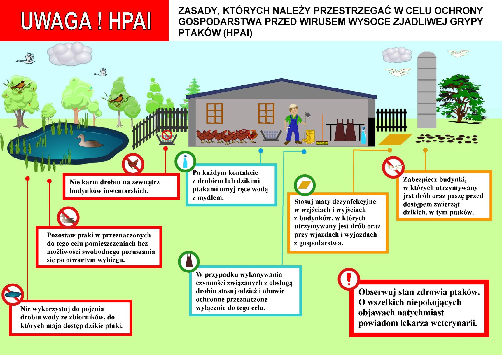Zasady, których należy przestrzegać w celu ochrony gospodarstwa przed wirusem wysoce zjadliwej grypy ptaków (hpai)